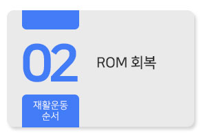 ROM 회복