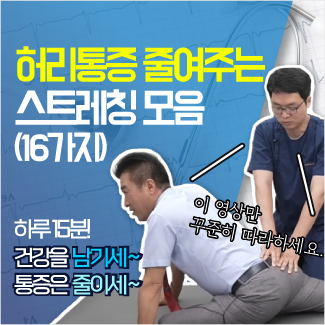 허리통증 스트레칭 영상